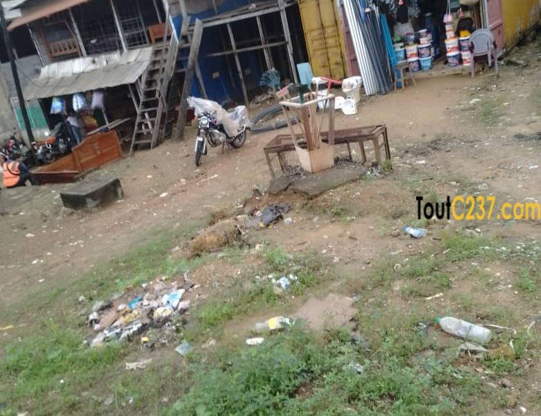 Terrain commercial à vendre à Pk11, Douala