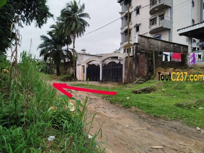 Terrain à vendre à Logbaba Song-nkot