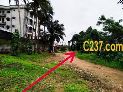 Terrain à vendre à Logbaba Song-nkot