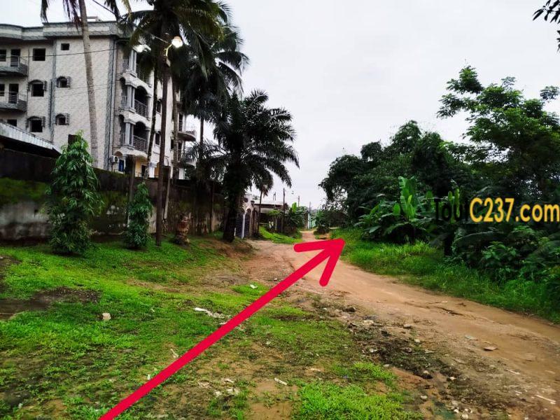 Terrain à vendre à Logbaba Song-nkot