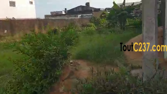 Terrain à vendre à Logpom carrefour express