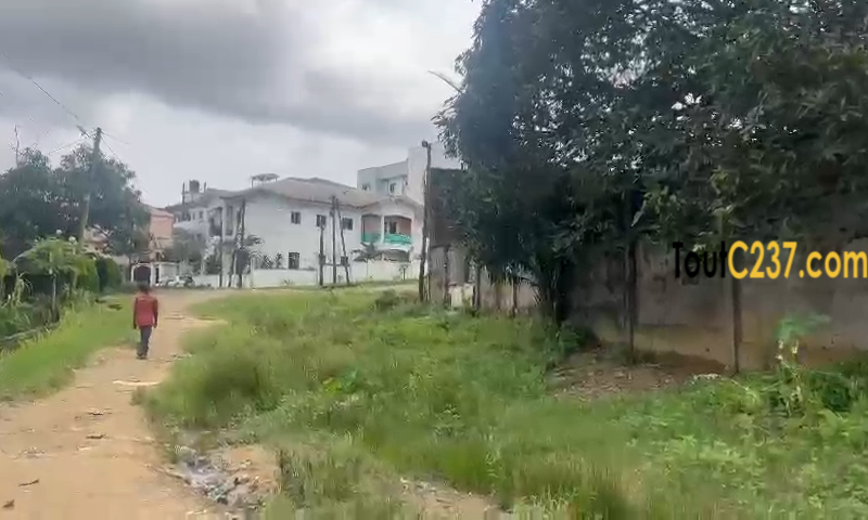 Terrain à vendre à Makepe Lycée