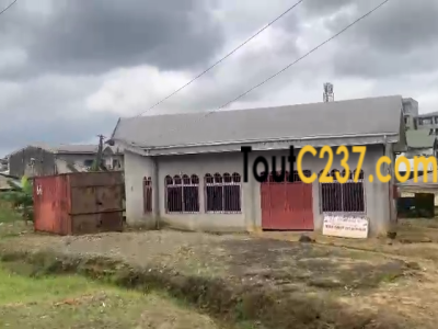 Terrain à vendre à Makepe Lycée