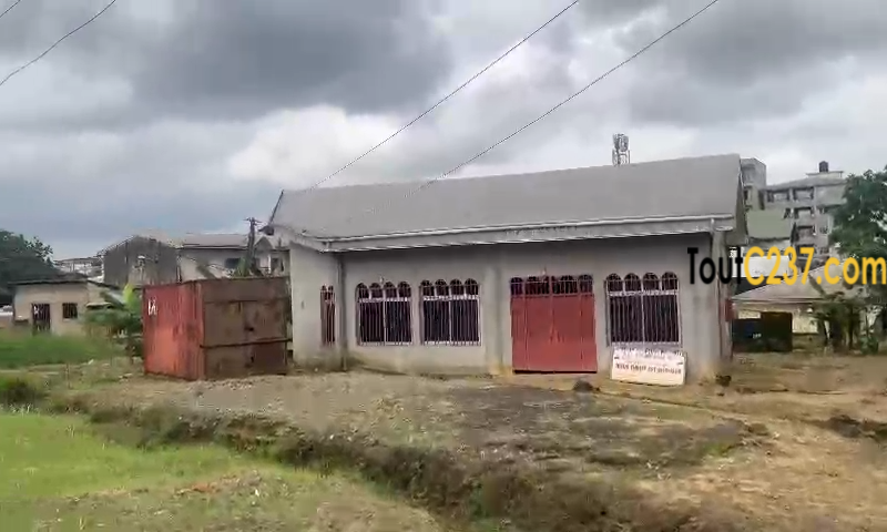 Terrain à vendre à Makepe Lycée