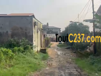 Terrain à vendre Makepe Bellavie