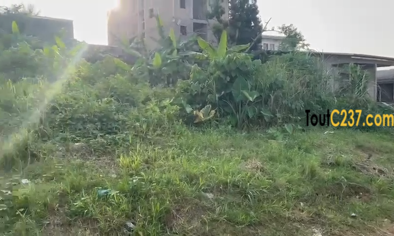 Terrain à vendre à Kotto carriere Oasis