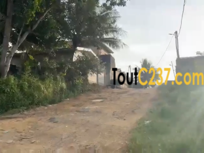 Terrain à vendre à Kotto carriere Oasis