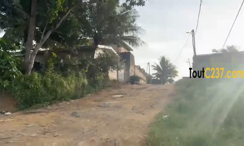 Terrain à vendre à Kotto carriere Oasis