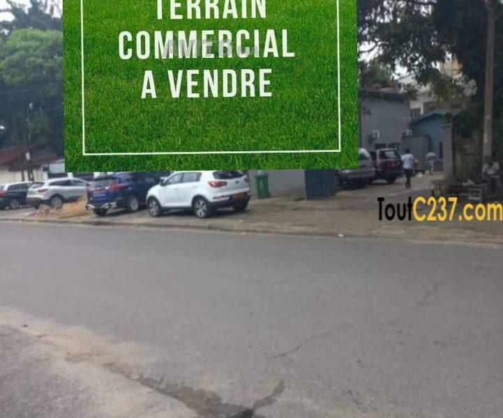 Terrain commercial à vendre à Bonamoussadi