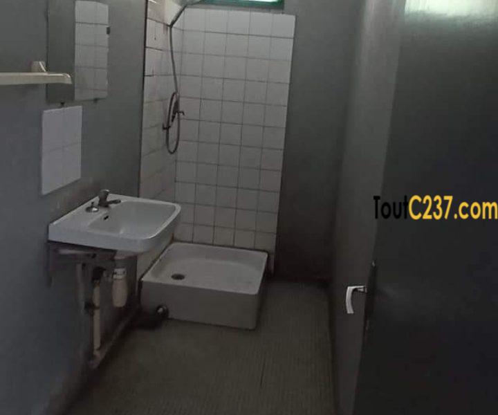 Maison sic à vendre à Kotto, Douala