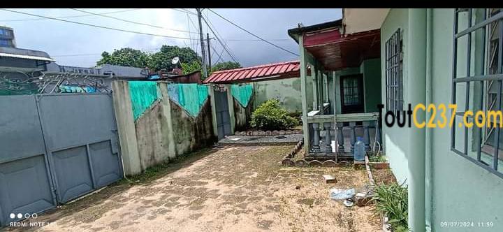 Maison sic à vendre à Kotto, Douala