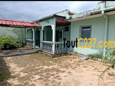 Maison sic à vendre à Kotto, Douala