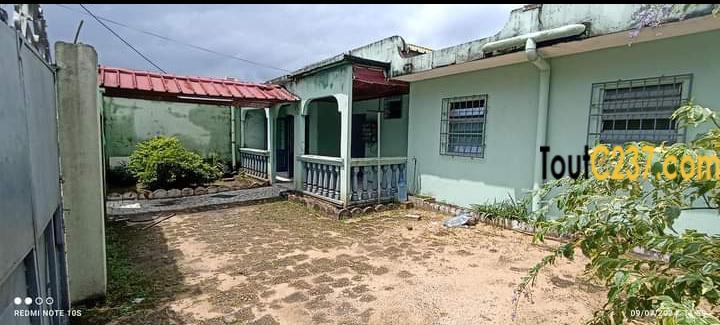 Maison sic à vendre à Kotto, Douala