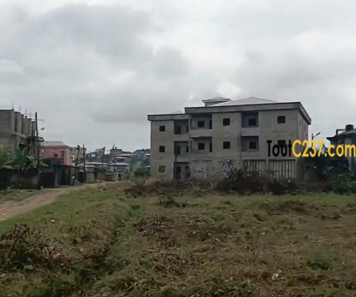 Terrain à vendre à Kotto Land, Douala