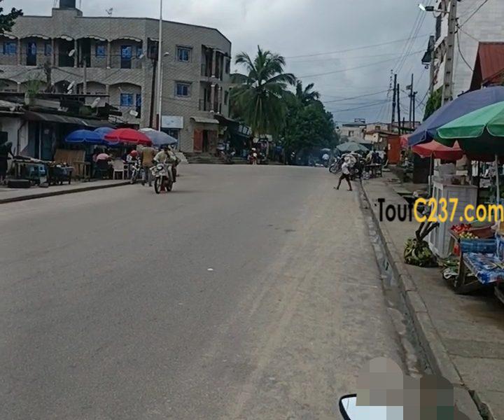 Terrain commercial à vendre à Logpom (Montana city)