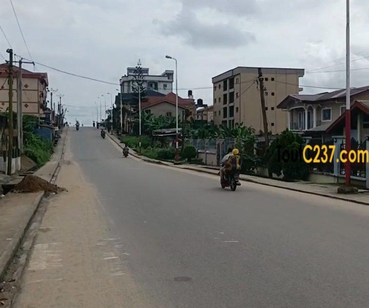 Terrain commercial à vendre à Logpom (Montana city)