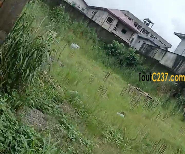 Terrain commercial à vendre à Logpom (Montana city)