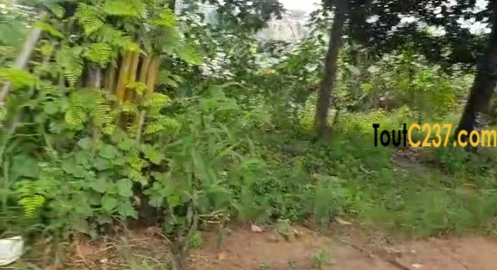 Terrain à vendre à Logpom Bangos