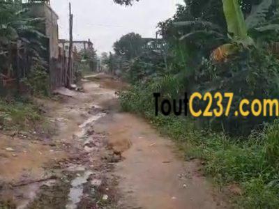 Terrain à vendre à Logpom Bangos
