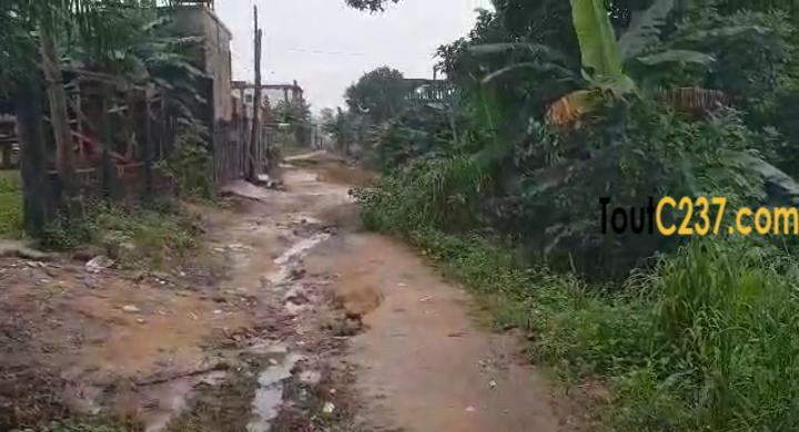 Terrain à vendre à Logpom Bangos