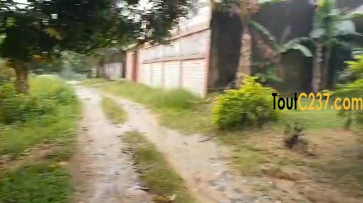 Terrain à vendre à Logpom Bangos