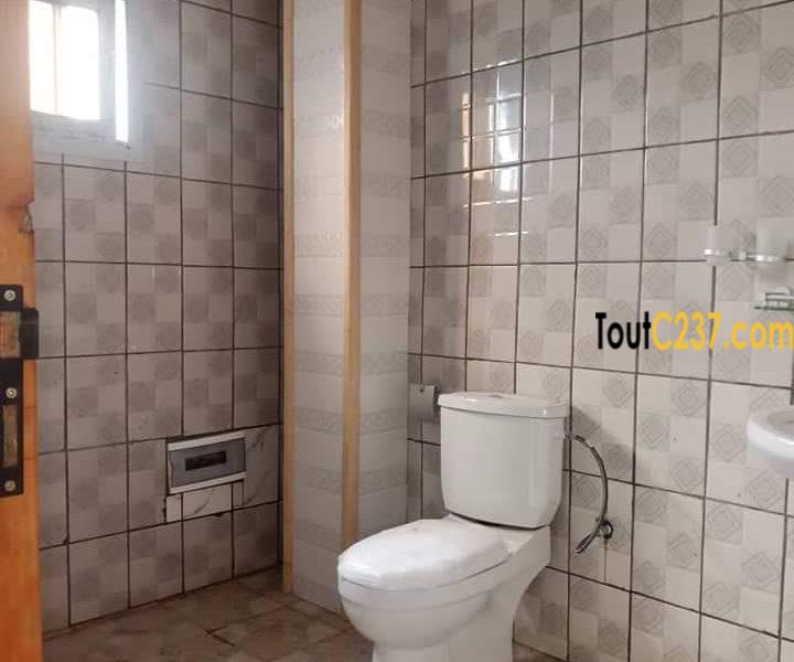 Studio moderne à louer à Bonamoussadi Douala