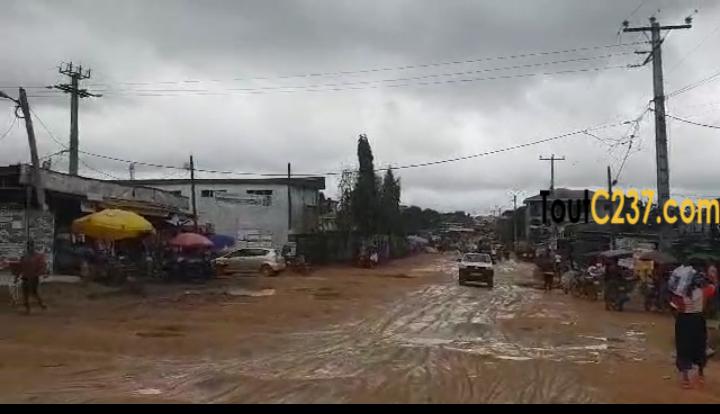 Terrain morcellable à vendre à Logbessou (crtv bar)