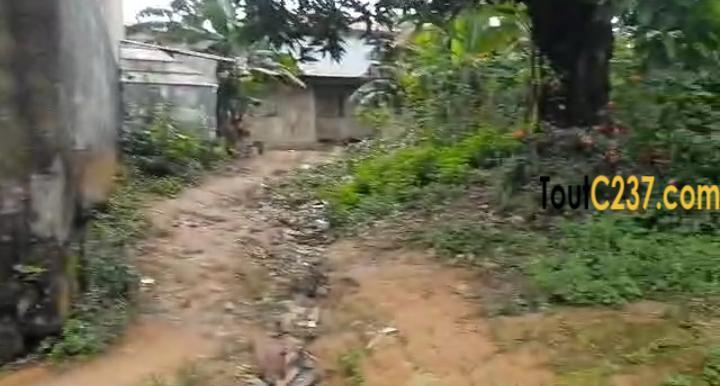 Terrain morcellable à vendre à Logbessou (crtv bar)