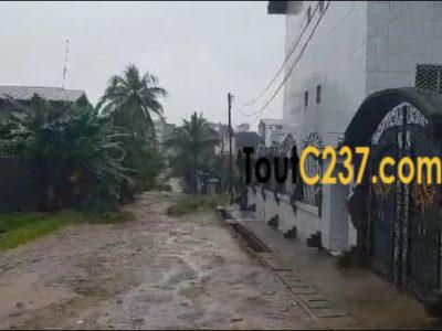 Terrain à vendre à Logpom Douala