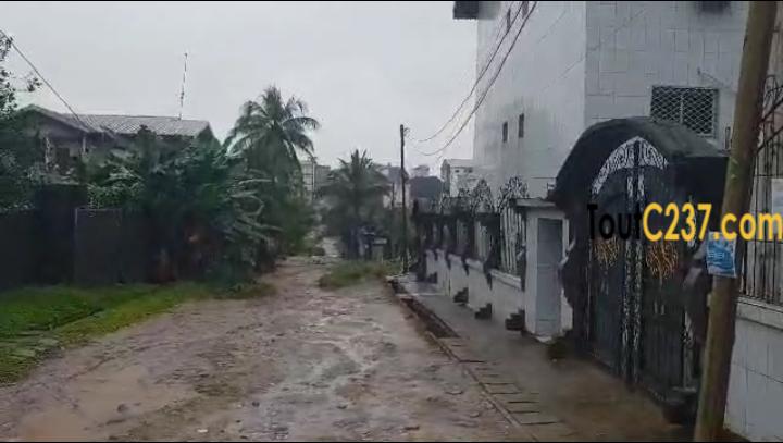Terrain à vendre à Logpom Douala