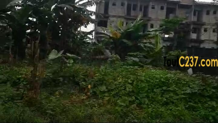 Terrain à vendre à Logpom Douala