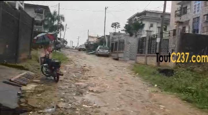 Terrain à vendre à Logpom Douala