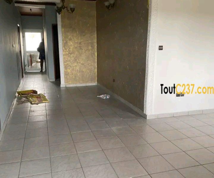 Vaste appartement à louer à Bonamoussadi Douala