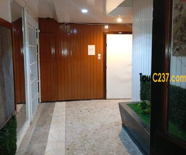 Appartement à louer à Bonanjo, Douala