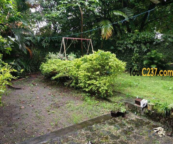 Appartement à louer à Bonanjo, Douala