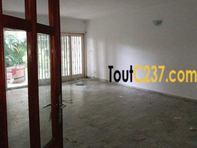 Appartement à louer à Bonanjo, Douala