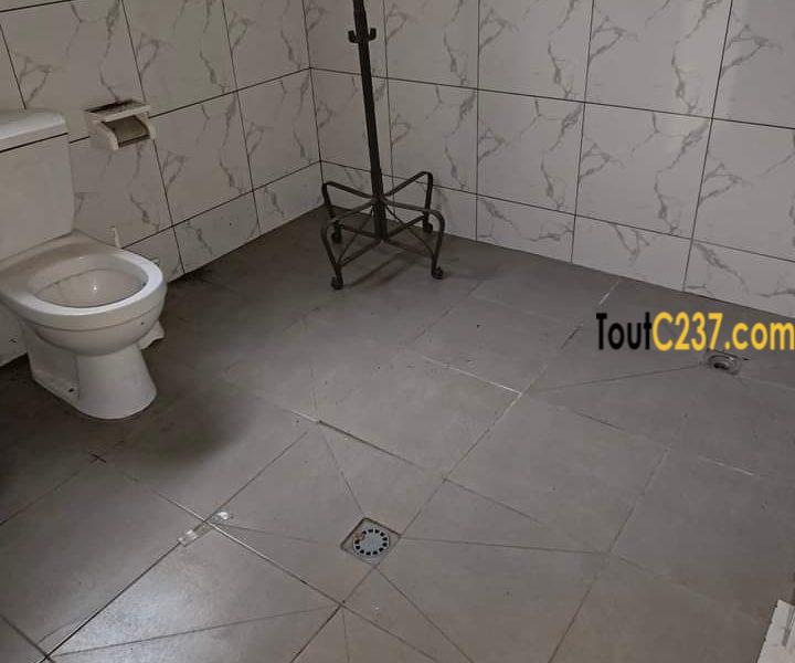 Appartement à louer à Bonanjo, Douala