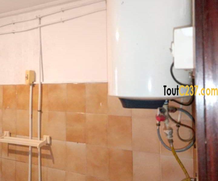 Appartement à louer à Bonanjo, Douala