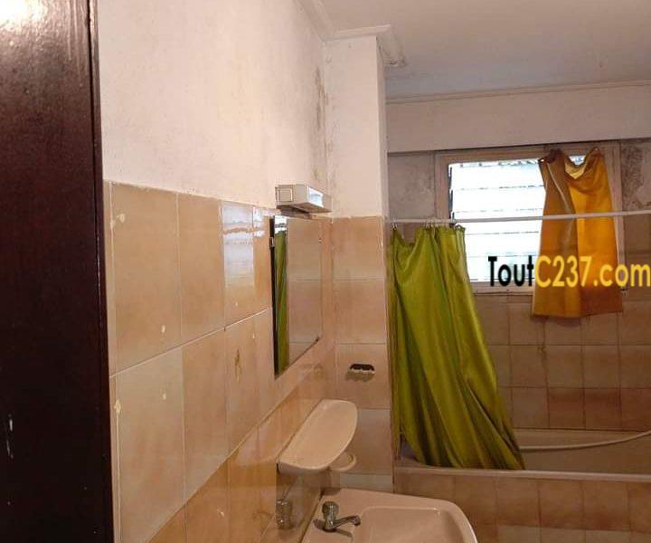 Appartement à louer à Bonanjo, Douala