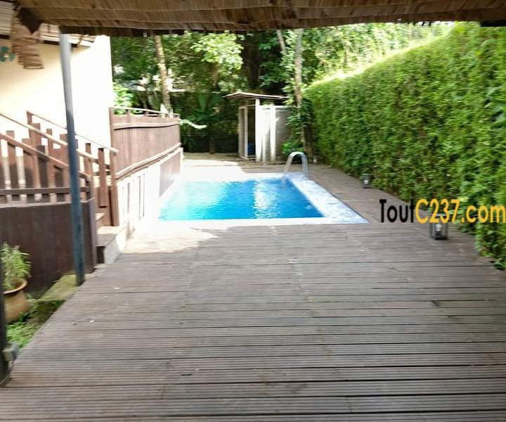 Duplex avec piscine à louer à Bonapriso