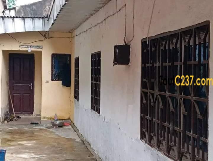 Maison à vendre à Pk10, Douala
