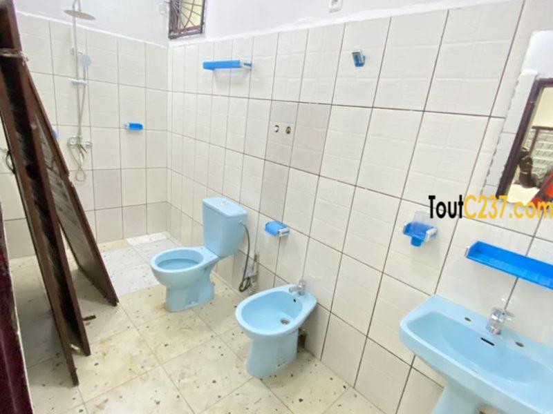 Appartement entree seule a louer a Bonamoussadi
