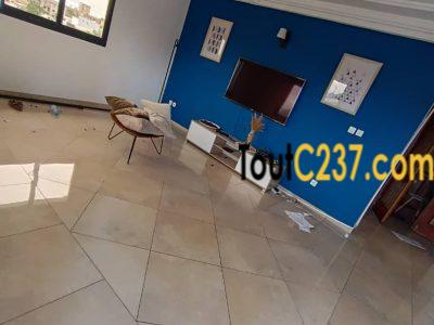 Appartement à louer à Bonamoussadi