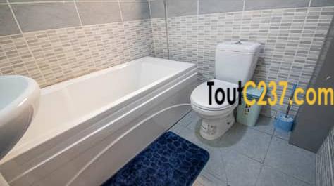 Appartement meublé haut standing à louer à Makepe