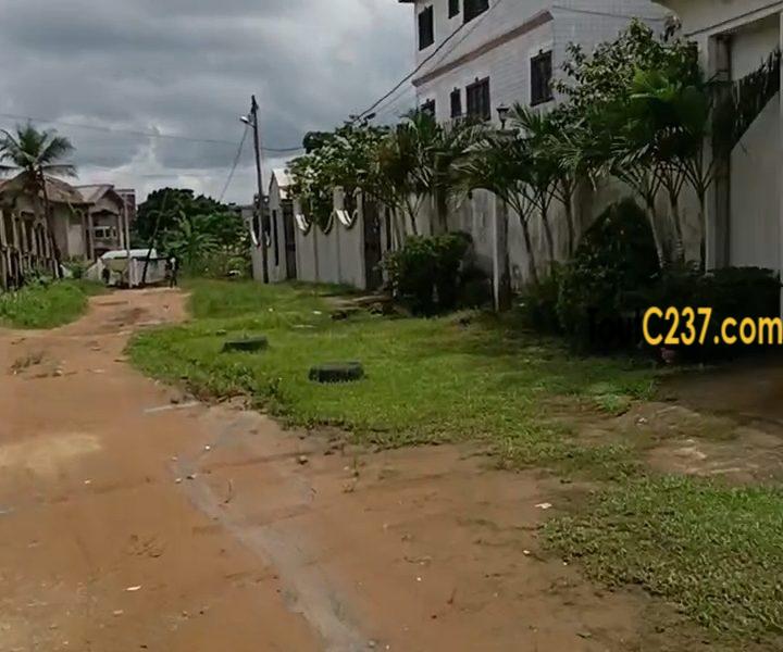 Urgent: Terrain à vendre à Logpom Njoya