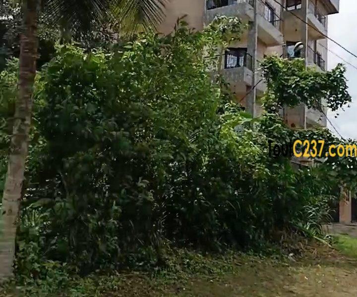 Urgent: Terrain à vendre à Logpom Njoya