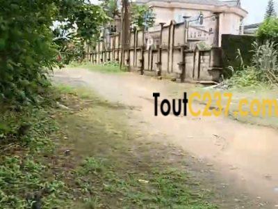 Urgent: Terrain à vendre à Logpom Njoya
