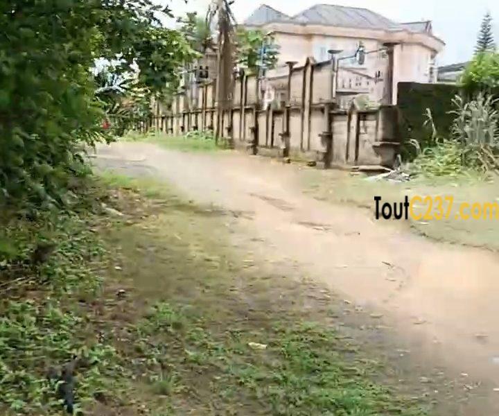 Urgent: Terrain à vendre à Logpom Njoya
