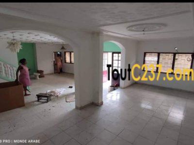 Duplex pour bureau ou habitation à louer à Deido