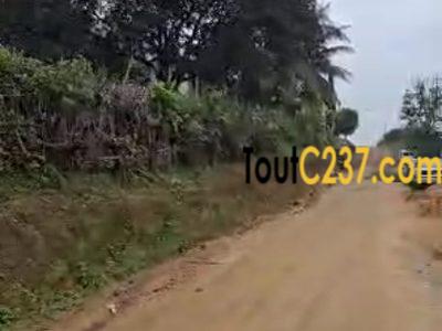 Terrain d'angle à vendre à Japoma, Douala